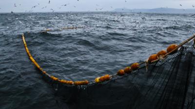 Bontrager Griffe Bontrager XR Endurance Elite Ocean Recycled Produktbild 3