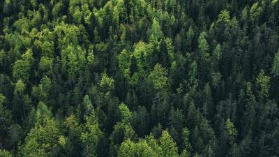 Trek Shirt Trek Evoke Tech Tee Women X-Large Black Produktbild 13