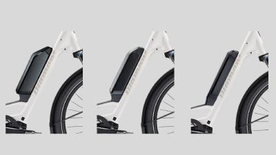 Diamant Zing Trip Core LS L Baumwollweiss Metallic 800Wh Produktbild 10