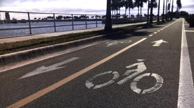 Trek District+ 4 LS Coaster L Pennyflake 545 Produktbild 3