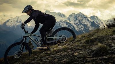 Trek Slash 9.9 S 27.5 Matte Chameleon Green /Dark Web Produktbild 14