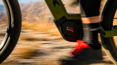 Trek PowerflyFS4 800EU M 29 Mercury/Dark Web Produktbild 3