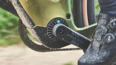 Trek Checkpoint+ SL 5 EU S Matte Bronze Age/Dark Web Produktbild 6