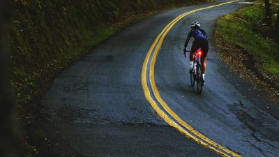 Trek Domane SLR 9 AXS 47 Gecko Phaze Produktbild 4