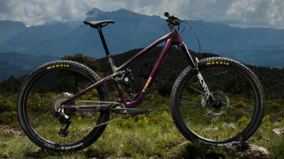 Trek Fuel LX 9.8 EA90 XL Purple Phaze/Amethyst Marble Produktbild 6