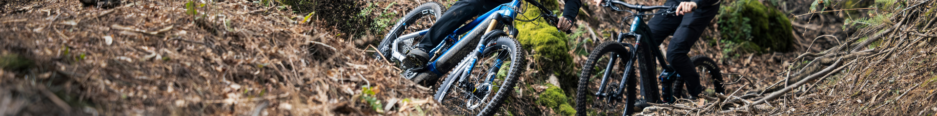  - Radel Bluschke Lingen