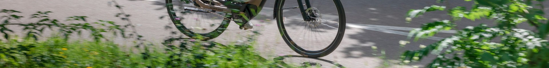  - Radel Bluschke Lingen